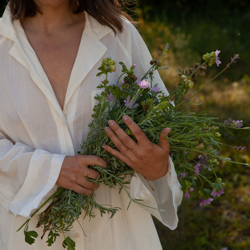 institut Botanica - Blogue